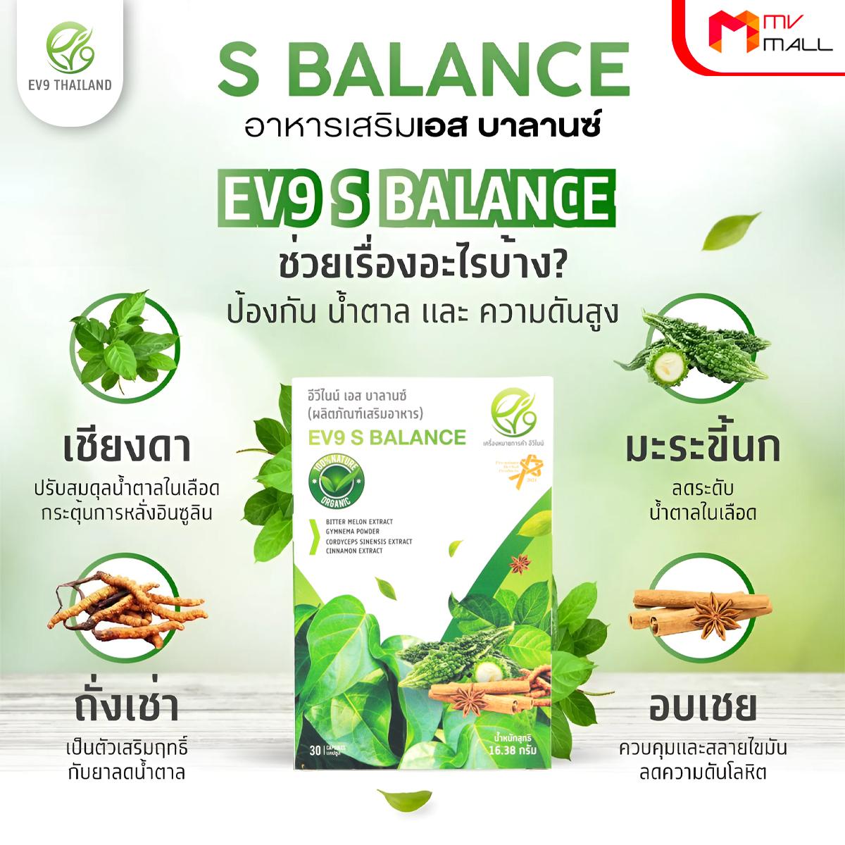 อีวีไนน์ เอส บาลานซ์ (EV9 S Balance) ลดน้ำตาลในเลือดสูง สมุนไพรควบคุมน้ำตาล ขนาด 30 แคปซูล จำนวน 3 กล่อง - Image 3