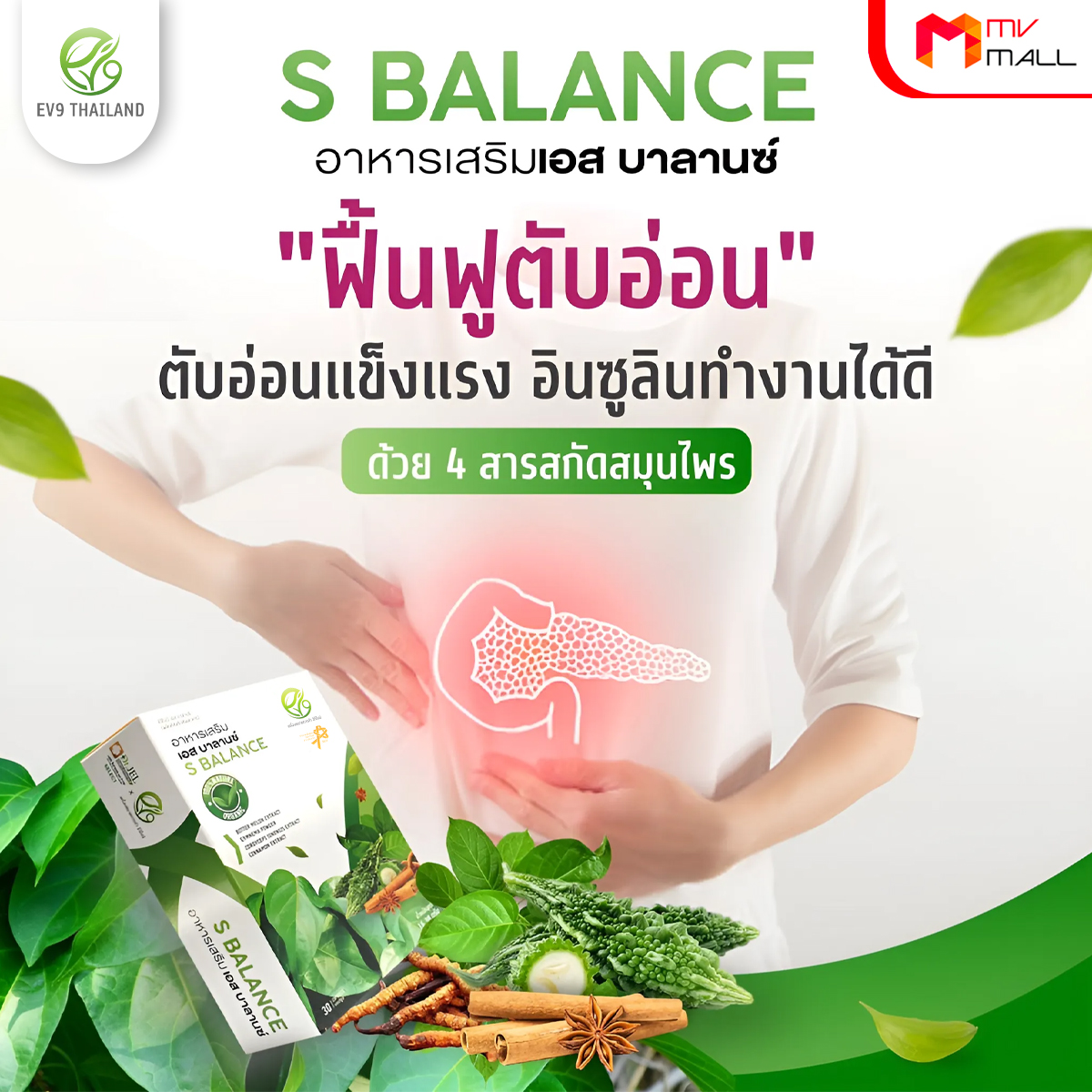 อีวีไนน์ เอส บาลานซ์ (EV9 S Balance) ลดน้ำตาลในเลือดสูง สมุนไพรควบคุมน้ำตาล ขนาด 30 แคปซูล จำนวน 3 กล่อง - Image 4