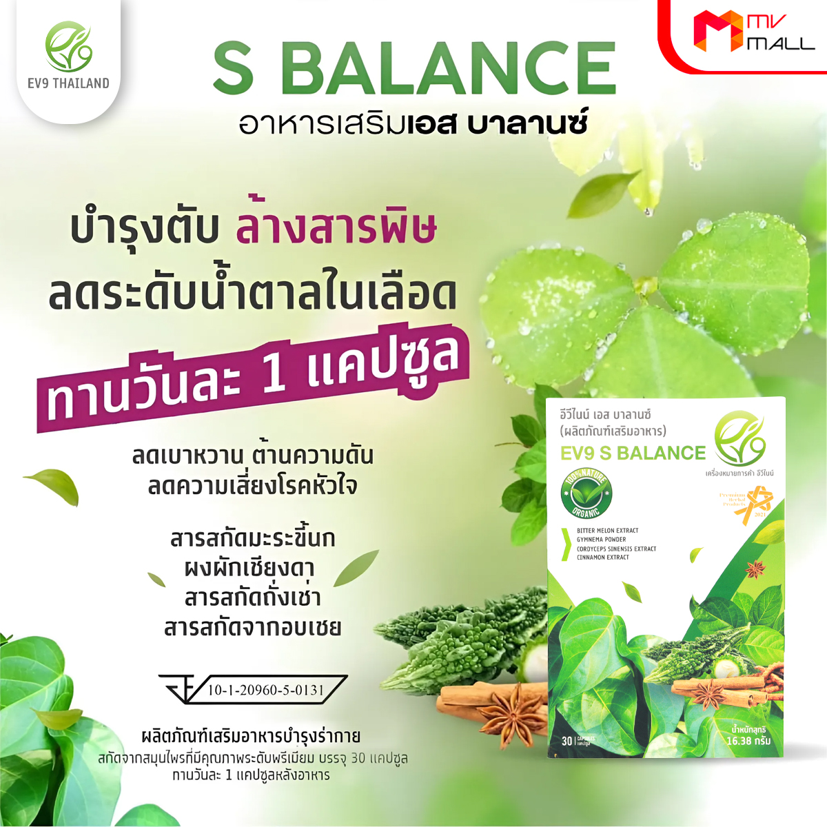 อีวีไนน์ เอส บาลานซ์ (EV9 S Balance) ลดน้ำตาลในเลือดสูง สมุนไพรควบคุมน้ำตาล ขนาด 30 แคปซูล จำนวน 3 กล่อง - Image 5