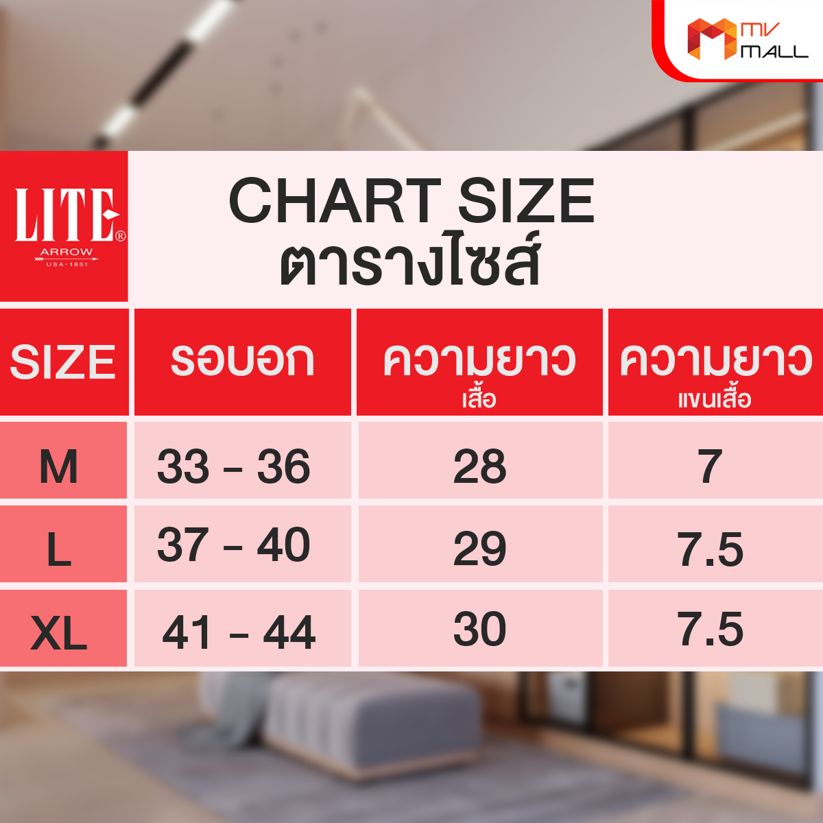 Arrow Lite T-Shirt เสื้อยืดคอวี จำนวน 4 ตัว - Image 5
