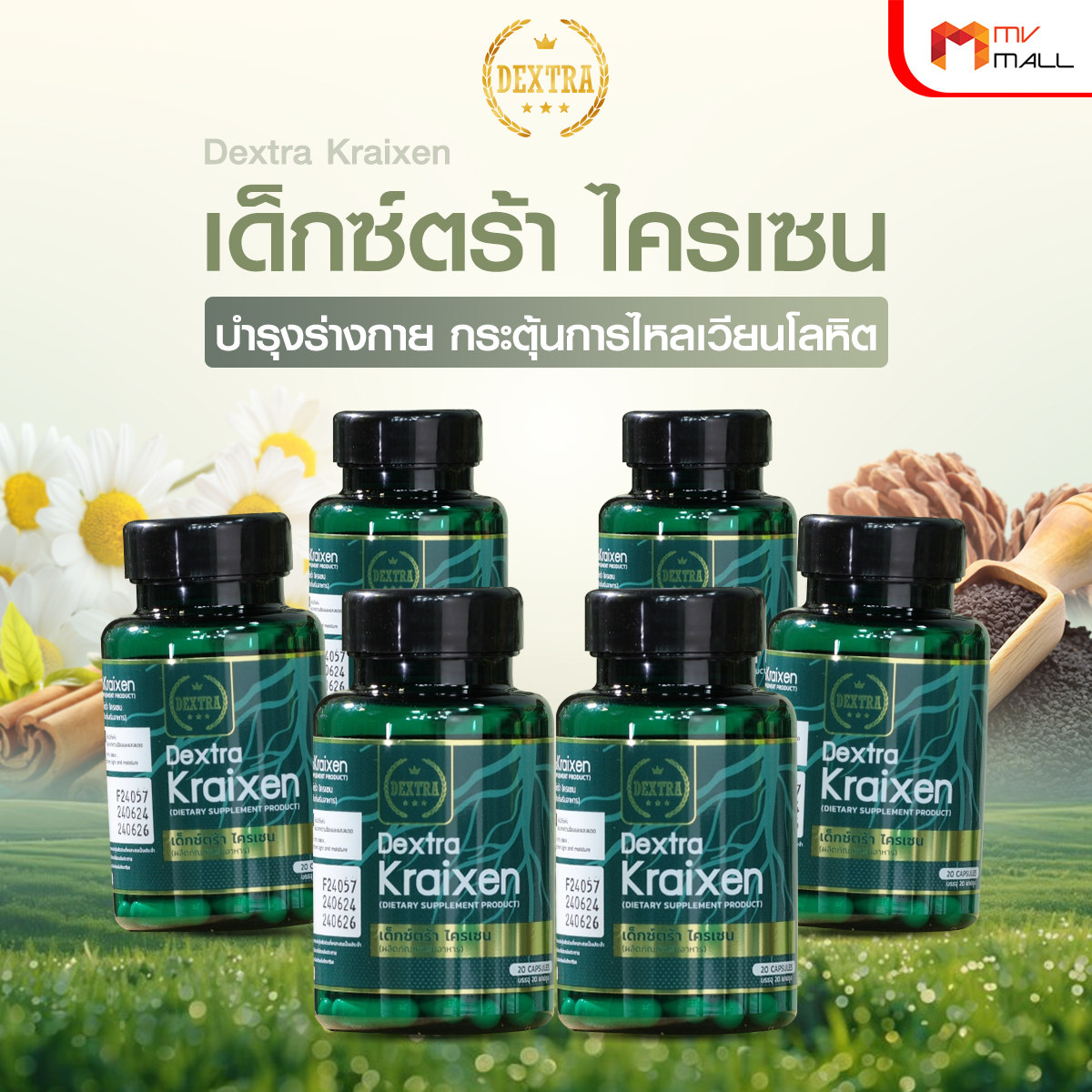 เด็กซ์ตร้า ไครเซน (Dextra Kraixen) บำรุงร่างกาย กระตุ้นการไหลเวียนโลหิต ขนาด 20 แคปซูล จำนวน 6 กระปุก - Image 2