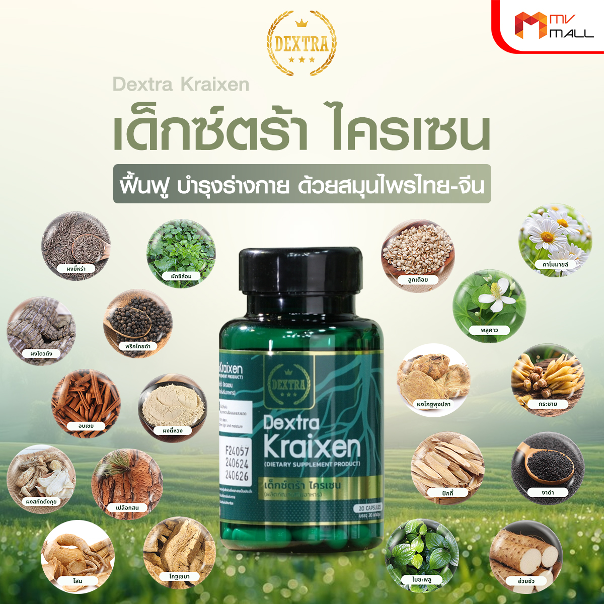 เด็กซ์ตร้า ไครเซน (Dextra Kraixen) บำรุงร่างกาย กระตุ้นการไหลเวียนโลหิต ขนาด 20 แคปซูล จำนวน 6 กระปุก - Image 3