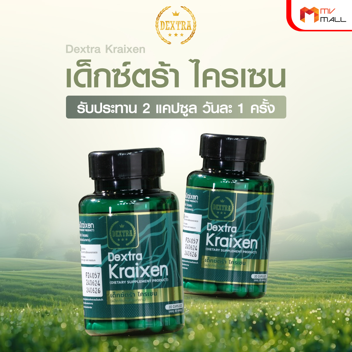 เด็กซ์ตร้า ไครเซน (Dextra Kraixen) บำรุงร่างกาย กระตุ้นการไหลเวียนโลหิต ขนาด 20 แคปซูล จำนวน 6 กระปุก - Image 5