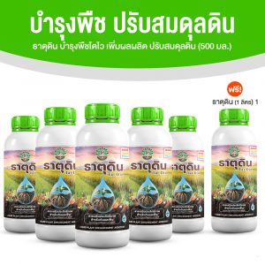 ธาตุดิน สารเพิ่มประสิทธิภาพพืช ชนิดน้ำ 2in1 เพื่อดินดี พืชสู้งาน นาด 500 ml. จำนวน 5 ขวด