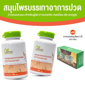 บ้านหมอละออง สมุนไพรแคปซูลบรรเทาอาการปวดเมื่อย ขนาด 90 แคปซูล จำนวน 2 กระปุก