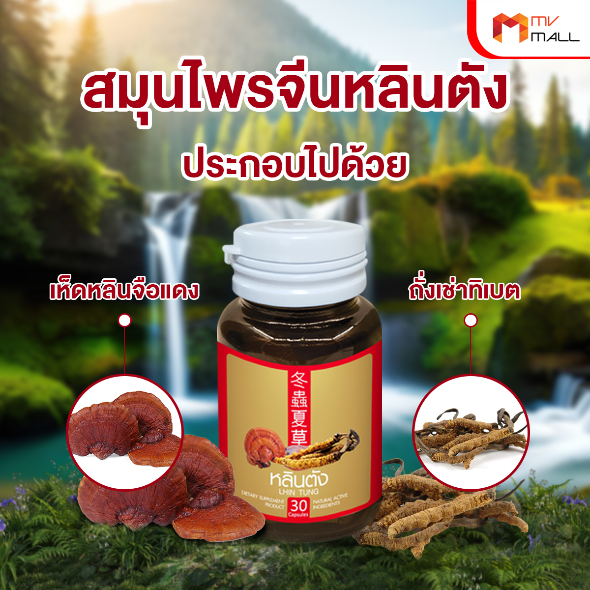 สมุนไพรจีน หลินตัง ลดระดับน้ำตาลและไขมัน บำรุงสุขภาพองค์รวม ขนาด 30 แคปซูล จำนวน 5 กระปุก - Image 3