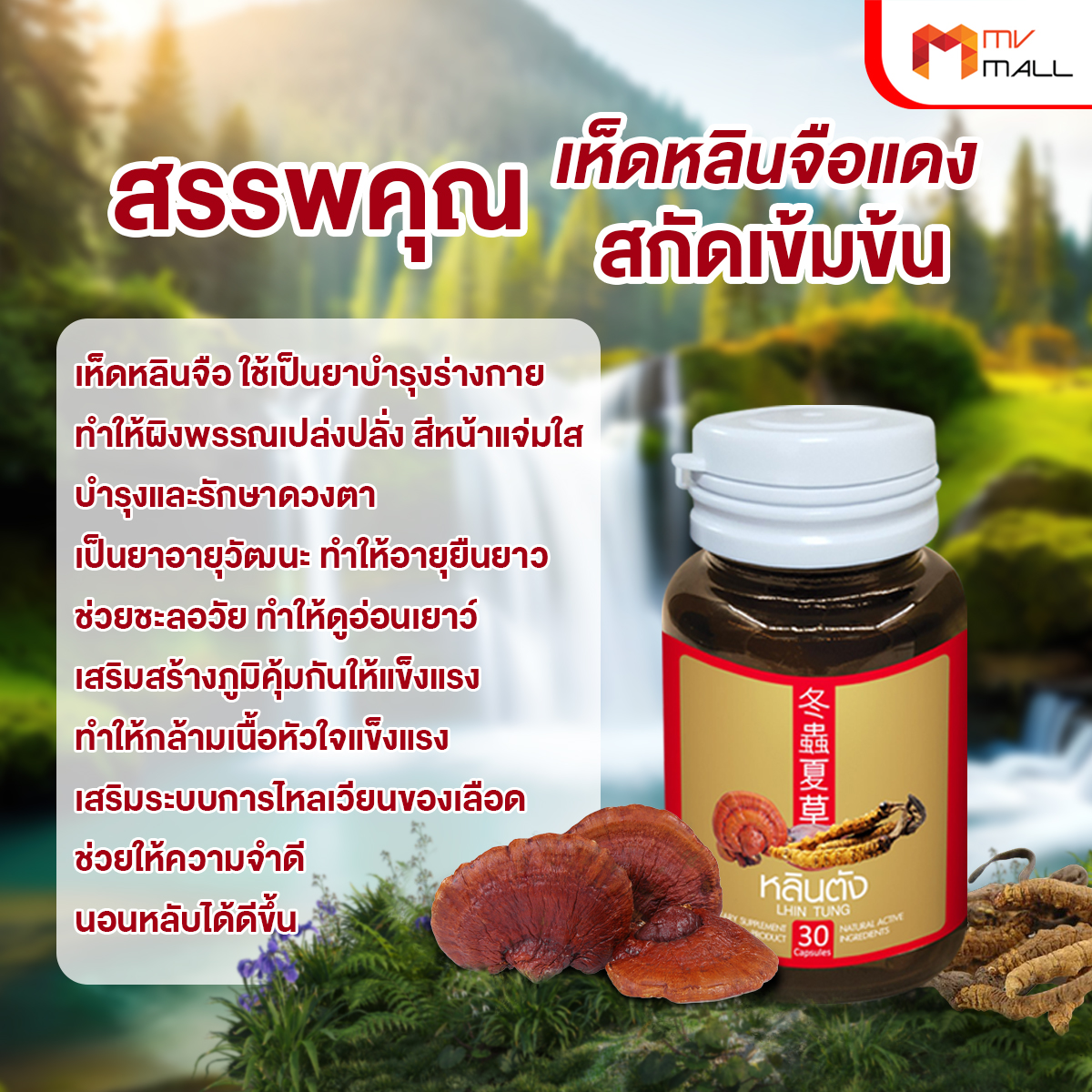 สมุนไพรจีน หลินตัง ลดระดับน้ำตาลและไขมัน บำรุงสุขภาพองค์รวม ขนาด 30 แคปซูล จำนวน 5 กระปุก - Image 4