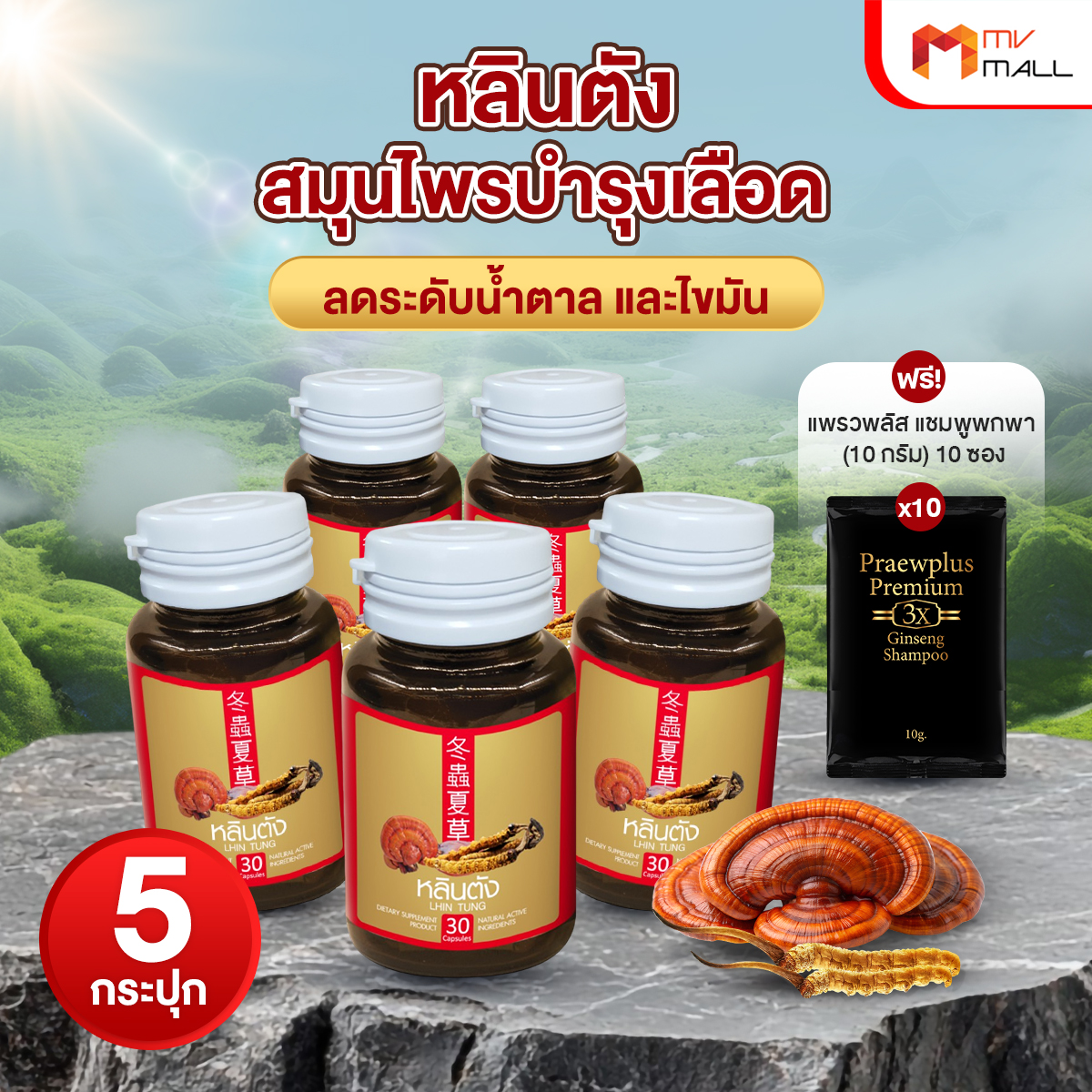 สมุนไพรจีน หลินตัง ลดระดับน้ำตาลและไขมัน บำรุงสุขภาพองค์รวม ขนาด 30 แคปซูล จำนวน 5 กระปุก - Image 2