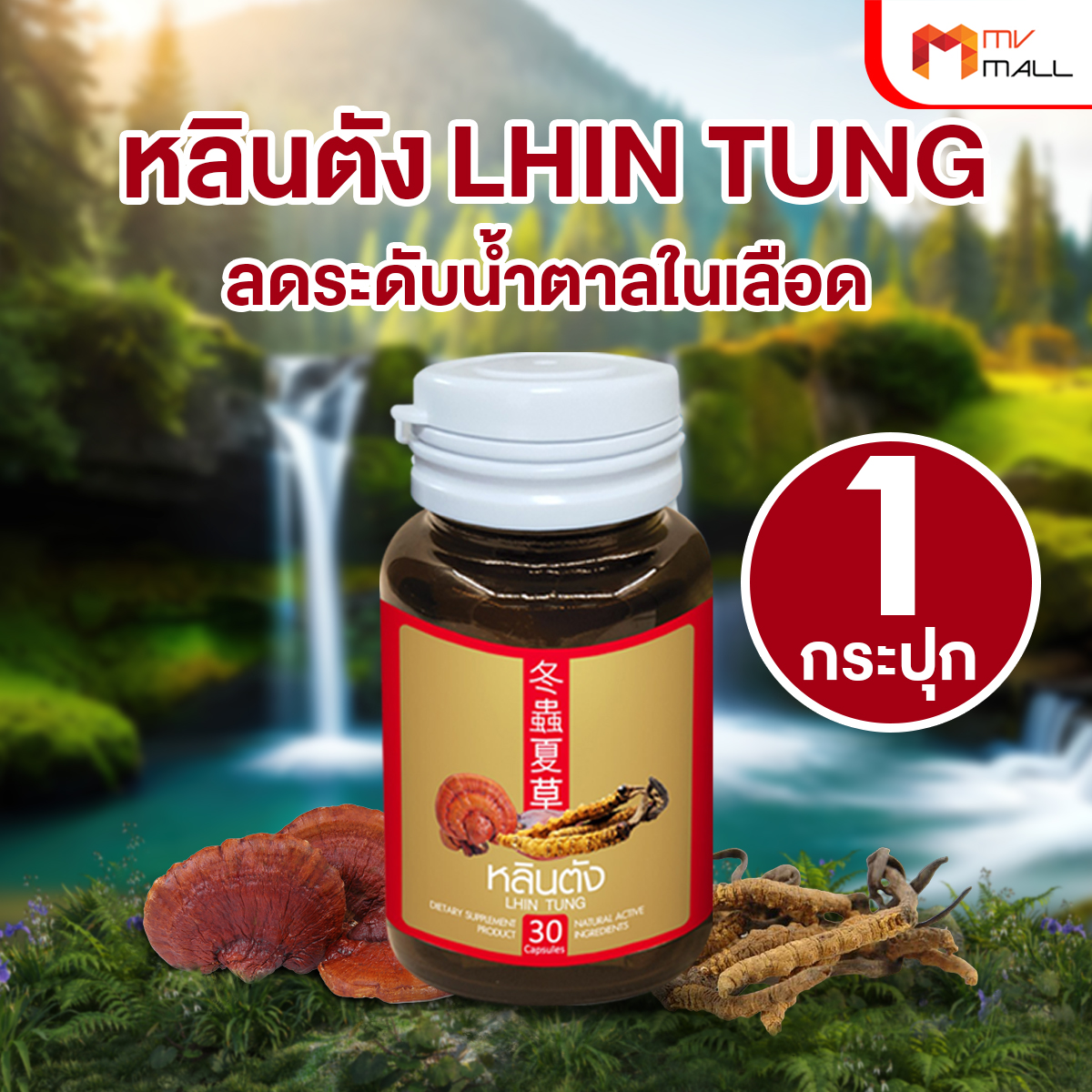 สมุนไพรจีน หลินตัง ลดระดับน้ำตาลในเลือด ขนาด 30 แคปซูล จำนวน 1 กระปุก - Image 2