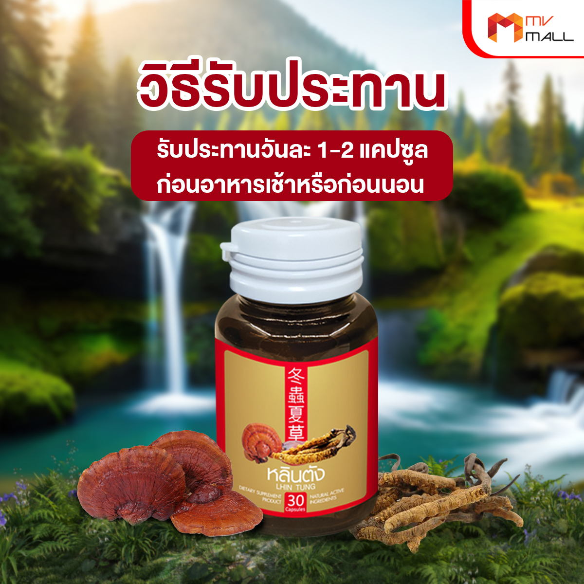 สมุนไพรจีน หลินตัง ลดระดับน้ำตาลในเลือด ขนาด 30 แคปซูล จำนวน 1 กระปุก - Image 5