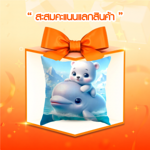 (Point) หมอนอิงลายการ์ตูนน่ารัก สีสันสดใส (คละลาย) จำนวน 1 ใบ