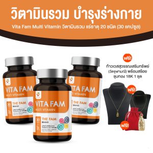 Vita Fam ผลิตภัณฑ์เสริมอาหาร วิตามินผู้สูงอายุ วิตามินรวมและแร่ธาตุ 20 ชนิด ขนาด 30 แคปซูล จำนวน 3 กระปุก