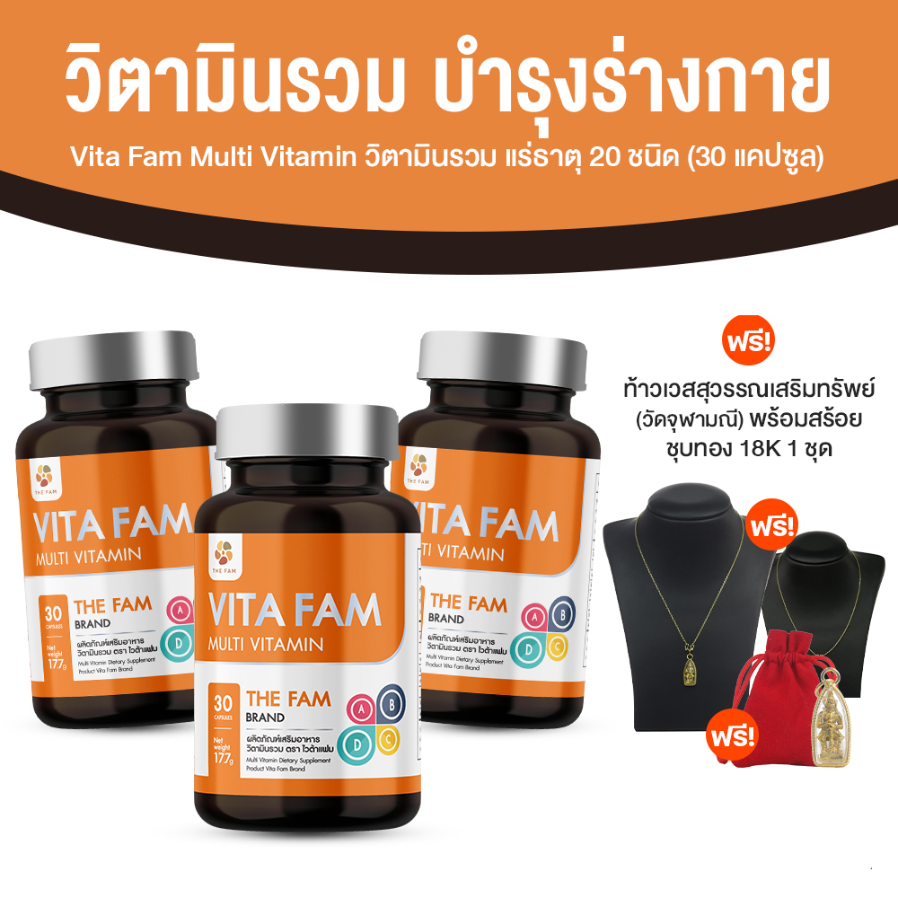 Vita Fam ผลิตภัณฑ์เสริมอาหาร วิตามินผู้สูงอายุ วิตามินรวมและแร่ธาตุ 20 ชนิด ขนาด 30 แคปซูล จำนวน 3 กระปุก