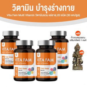 วิตามินรวมผู้สูงอายุ Vita Fam (ไวต้า แฟม) อาหารเสริมบำรุงสุขภาพ รวมวิตามินและแร่ธาตุ 20 ชนิด 4 กระปุก