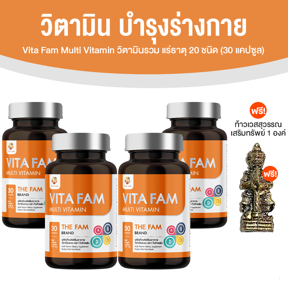 วิตามินรวมผู้สูงอายุ Vita Fam (ไวต้า แฟม) อาหารเสริมบำรุงสุขภาพ รวมวิตามินและแร่ธาตุ 20 ชนิด 4 กระปุก
