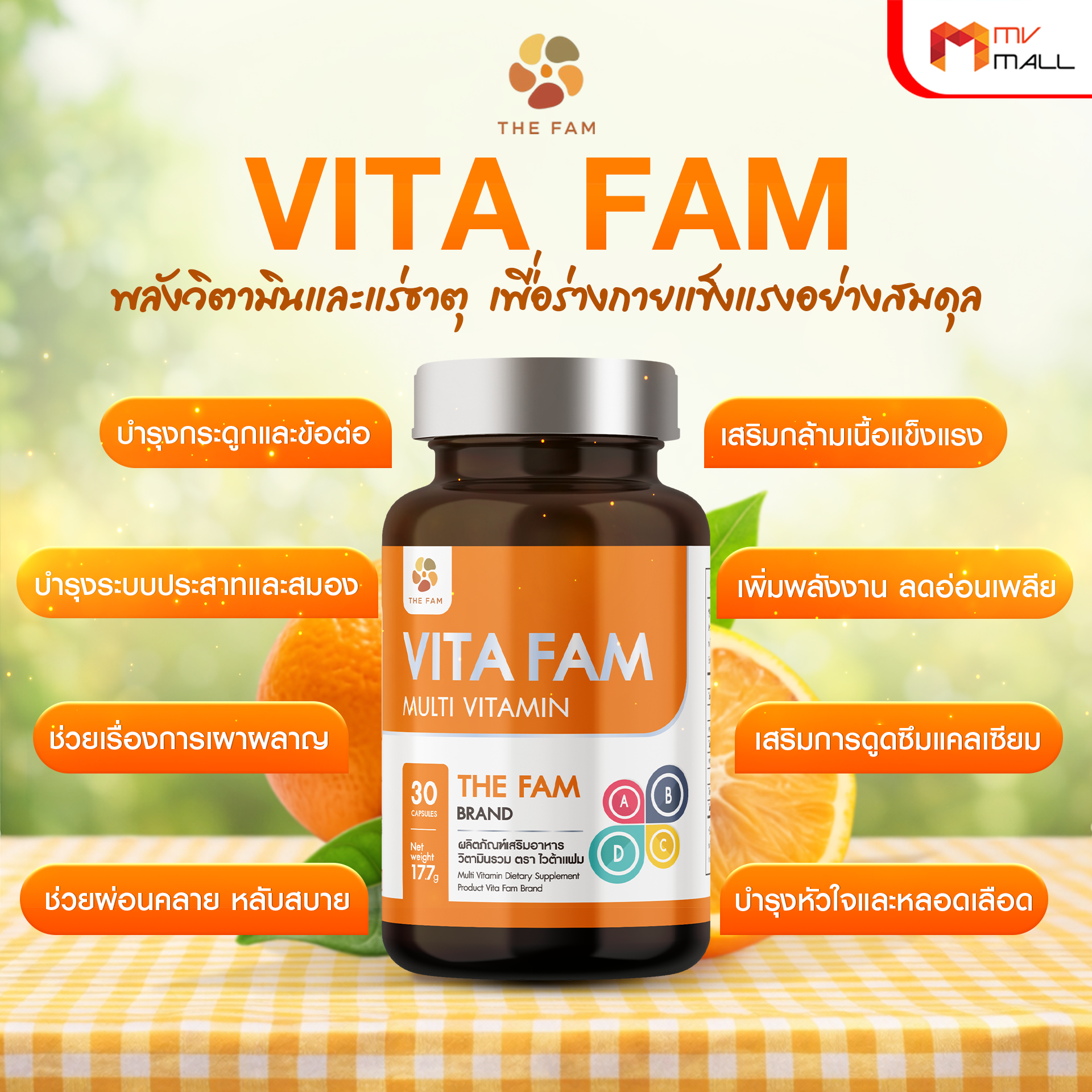 วิตามินรวมผู้สูงอายุ Vita Fam (ไวต้า แฟม) อาหารเสริมรวมวิตามินและแร่ธาตุ 20 ชนิด ขนาด 30 แคปซูล จำนวน 4 กระปุก - Image 4
