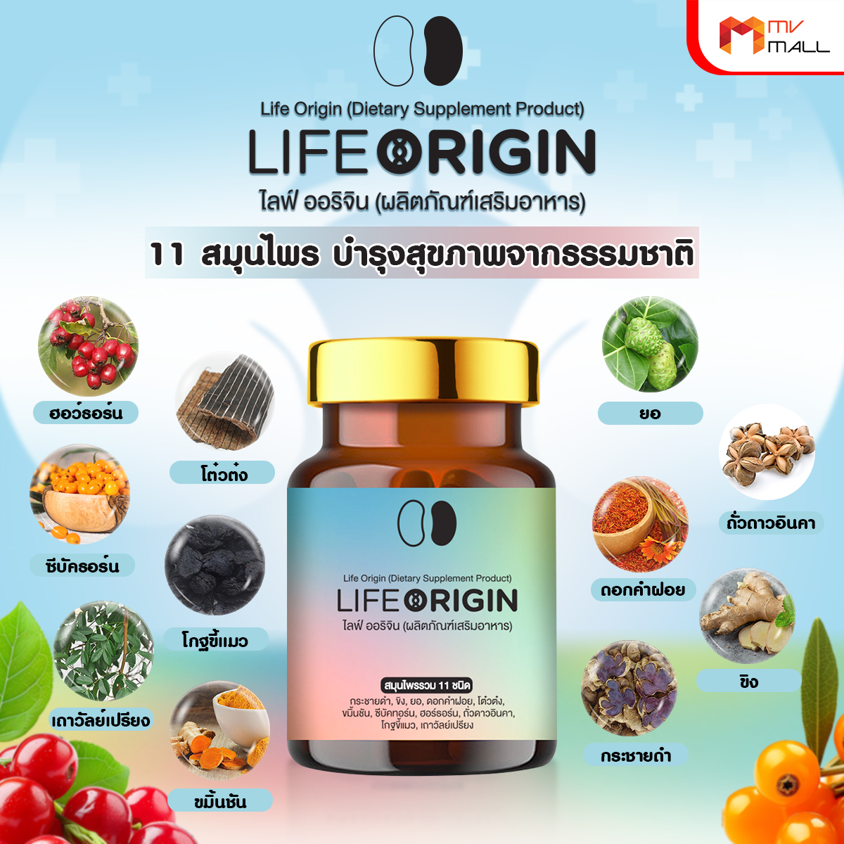 ไลฟ์ ออริจิ้น (Life Origin) สมุนไพรบำรุงไต บำรุงหัวใจ บำรุงเลือด ขนาด 30 แคปซูล จำนวน 3 กระปุก - Image 4