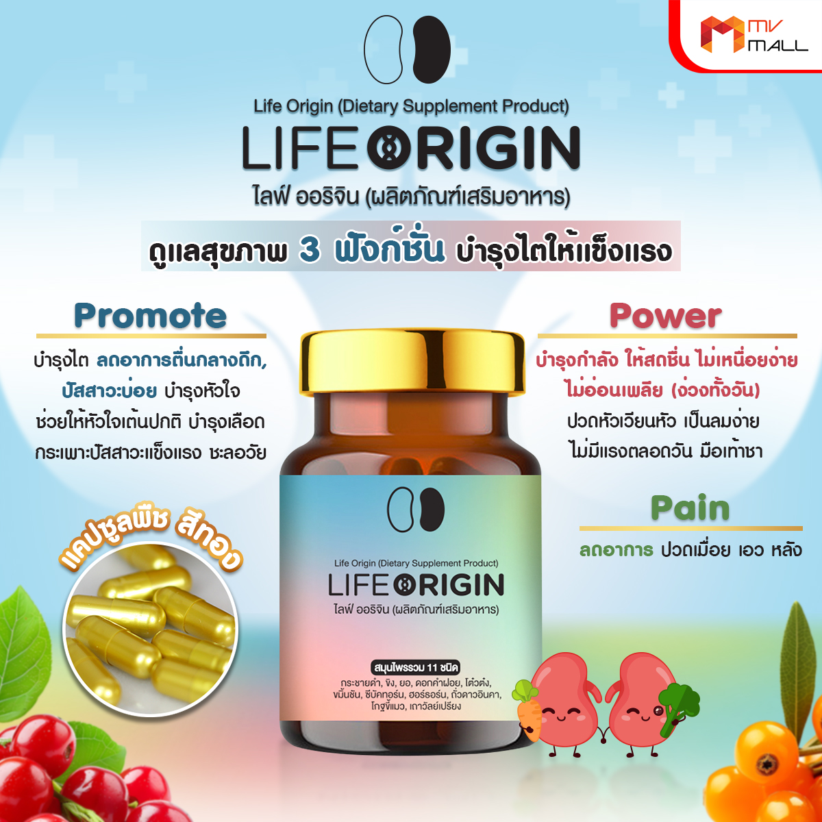 ไลฟ์ ออริจิ้น (Life Origin) สมุนไพรบำรุงไต บำรุงหัวใจ บำรุงเลือด ขนาด 30 แคปซูล จำนวน 3 กระปุก - Image 3