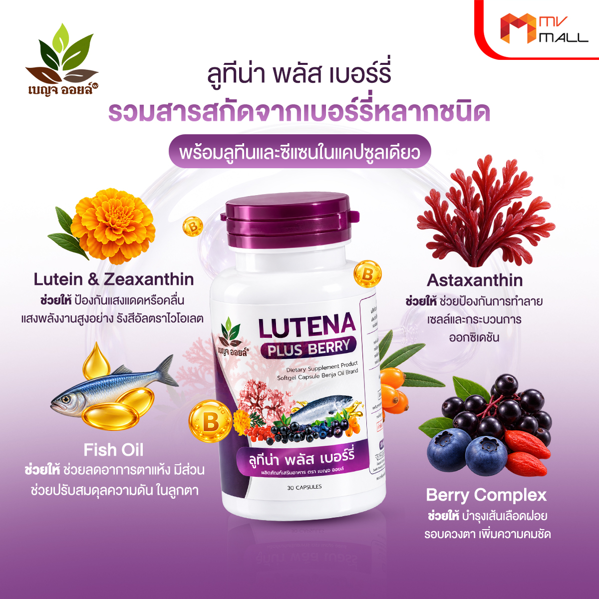 เบญจออยล์ ลูทีน่า พลัส เบอร์รี่ (Lutena Plus Berry) บำรุงดวงตาและสมอง ขนาด 30 แคปซูล จำนวน 1 กระปุก - Image 3