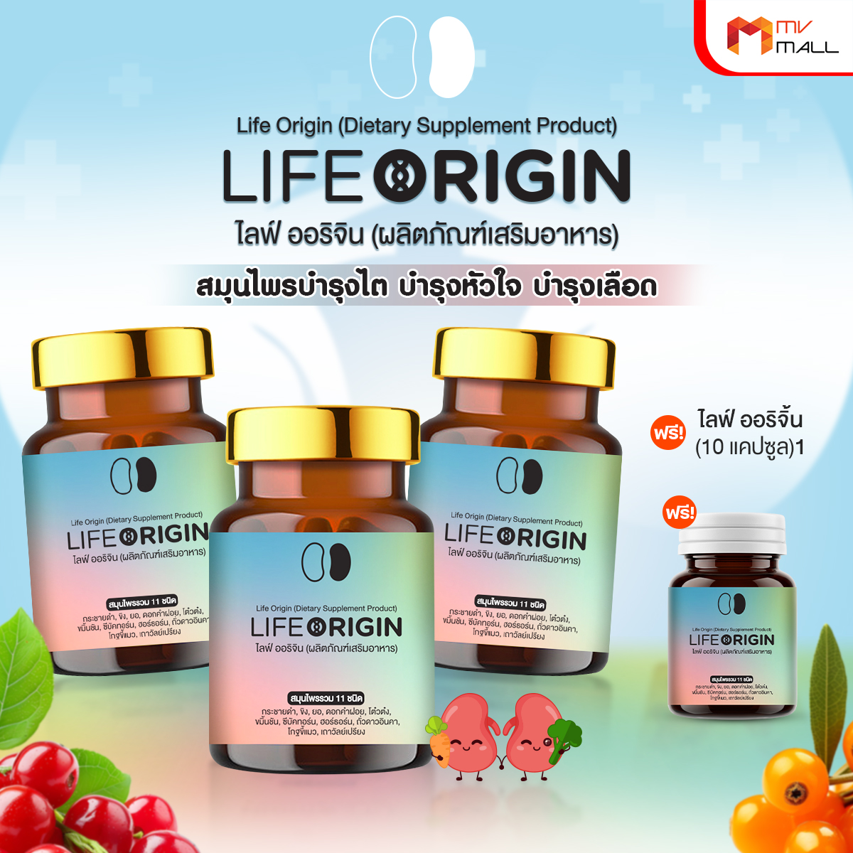 ไลฟ์ ออริจิ้น (Life Origin) สมุนไพรบำรุงไต บำรุงหัวใจ บำรุงเลือด ขนาด 30 แคปซูล จำนวน 3 กระปุก - Image 2